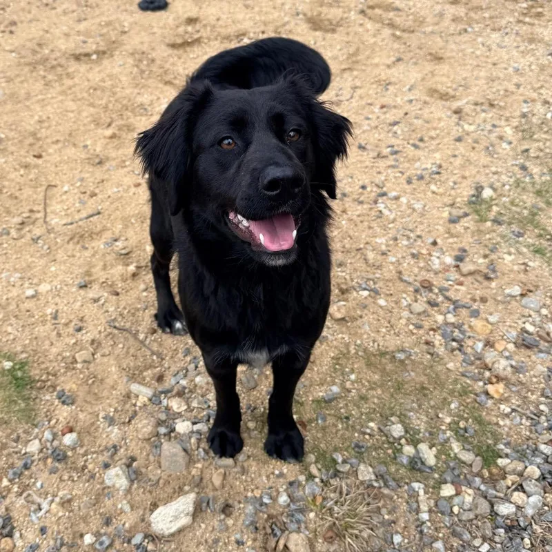 Ct Kalani thumbnail 3