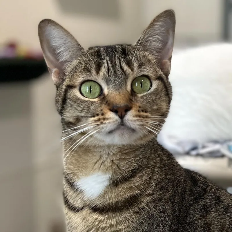 Charlotte thumbnail 3