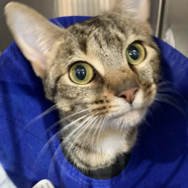 Charlotte thumbnail 5