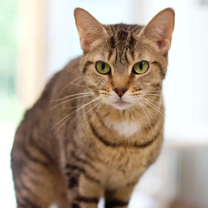 Charlotte thumbnail 6