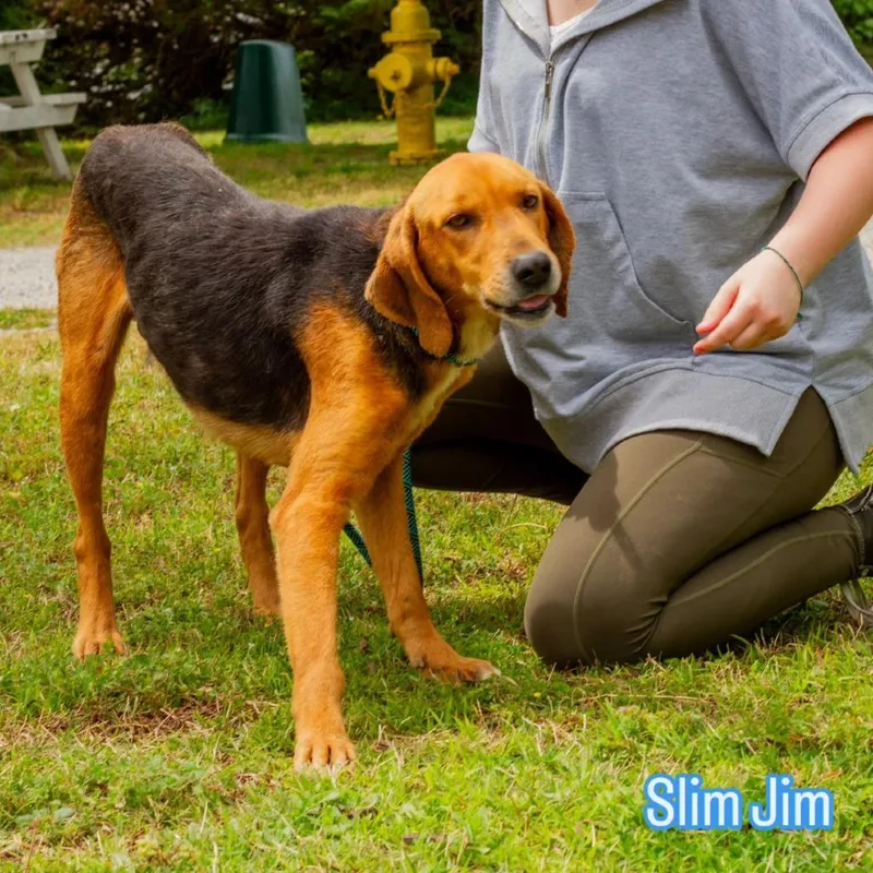 Slim Jim thumbnail 2