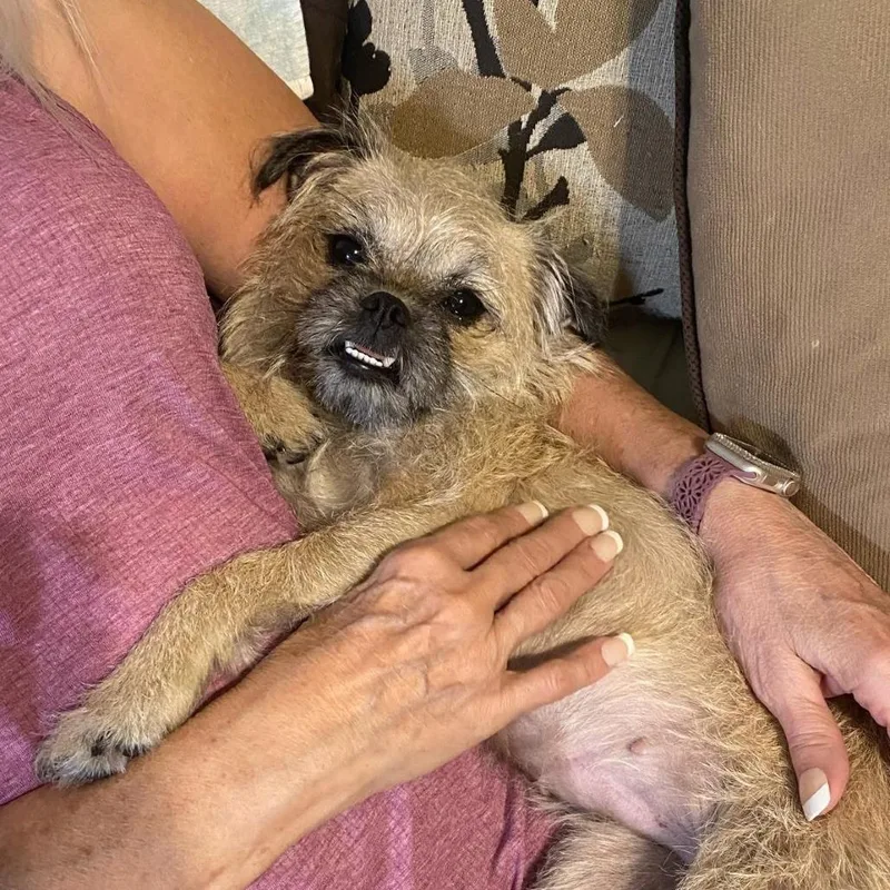 Carol Lina thumbnail 2