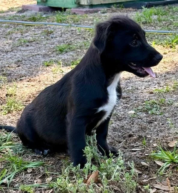 Sammy Davis Jr thumbnail 2