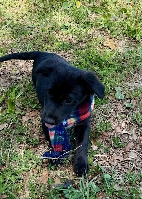 Sammy Davis Jr thumbnail 3