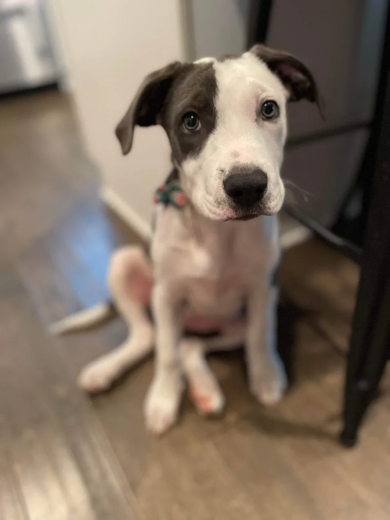 Lisa Marie thumbnail 2