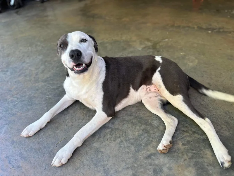 Lisa Marie thumbnail 3