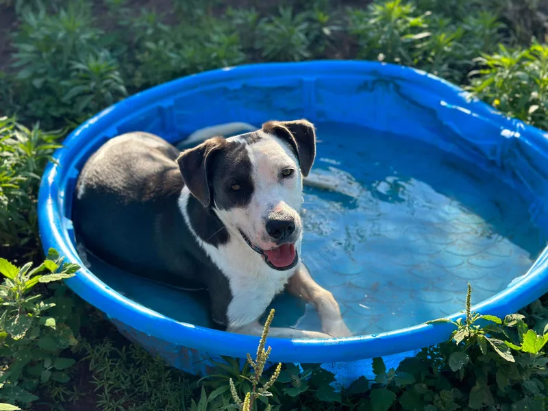 Lisa Marie thumbnail 4