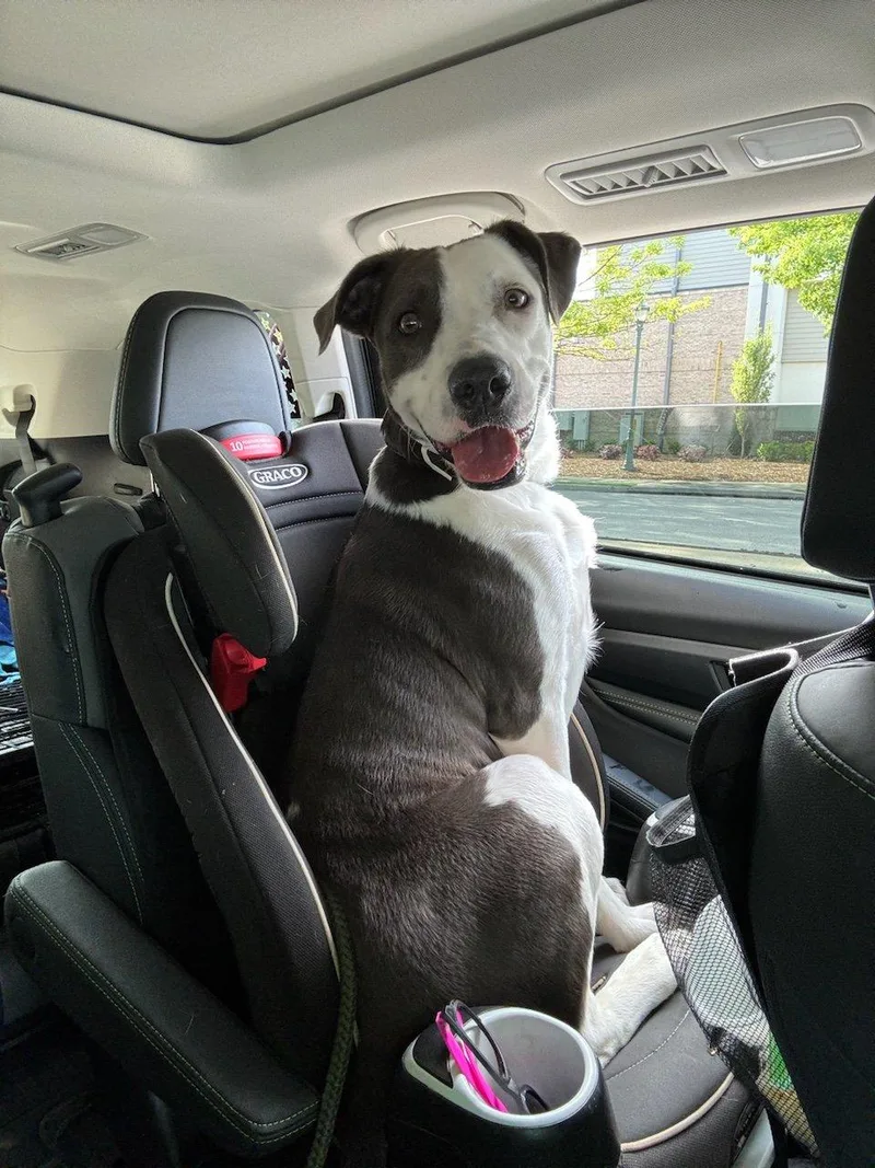 Lisa Marie thumbnail 5