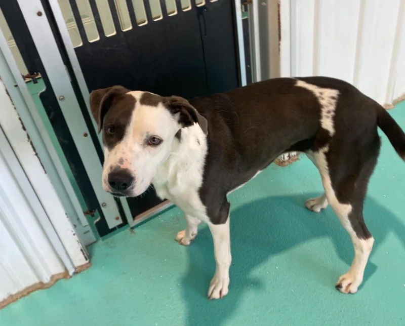 Lisa Marie thumbnail 6