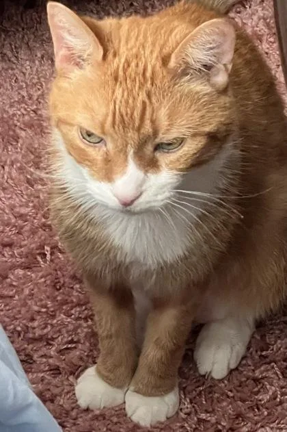 Sir Oliver Max