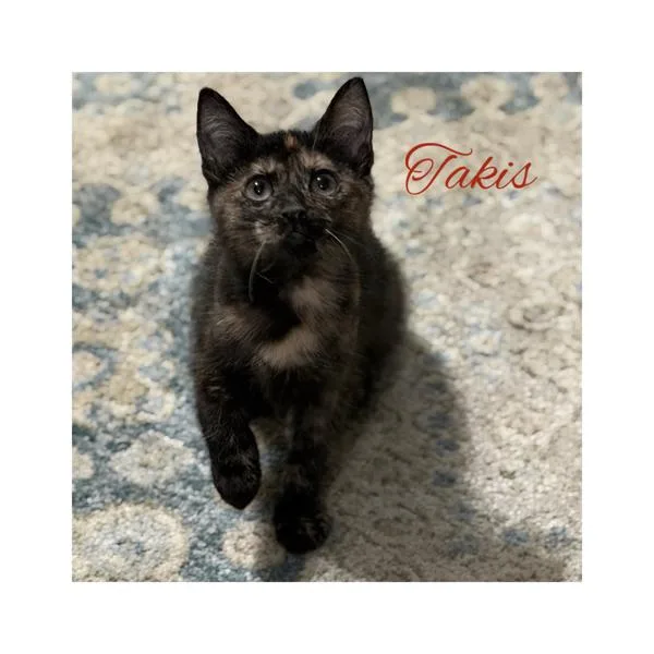 Takis