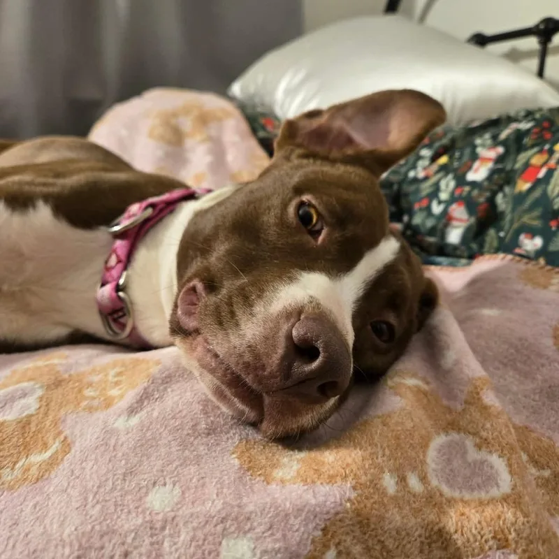 Sip N Shop thumbnail 2