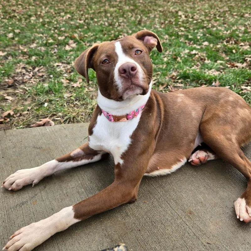 Sip N Shop thumbnail 3