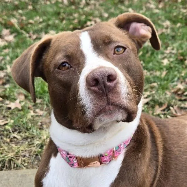 Sip N Shop thumbnail 6