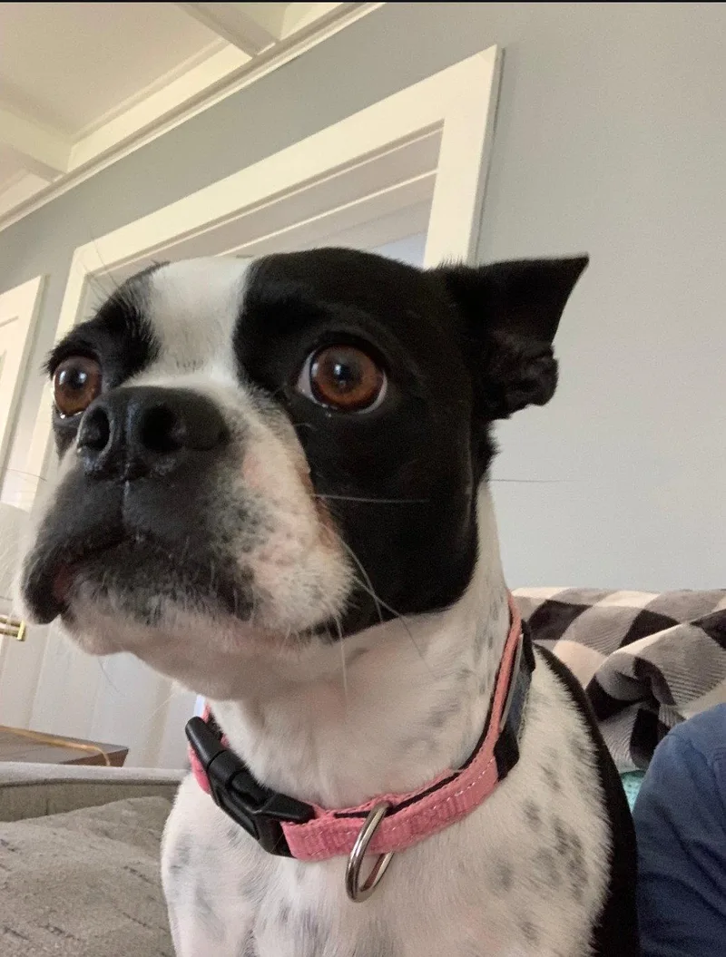 Coco thumbnail 2