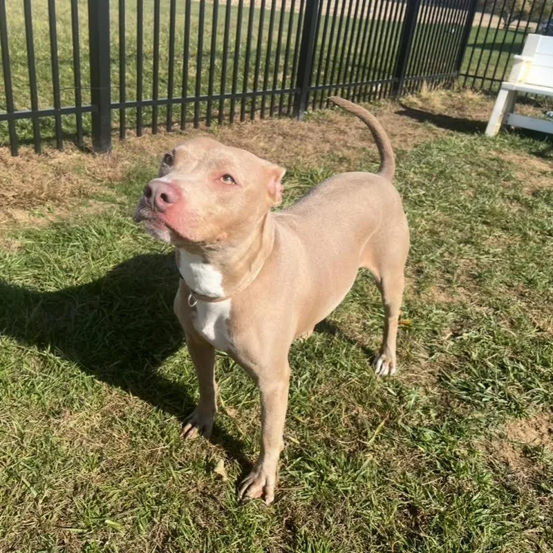 Tax Evasion thumbnail 2