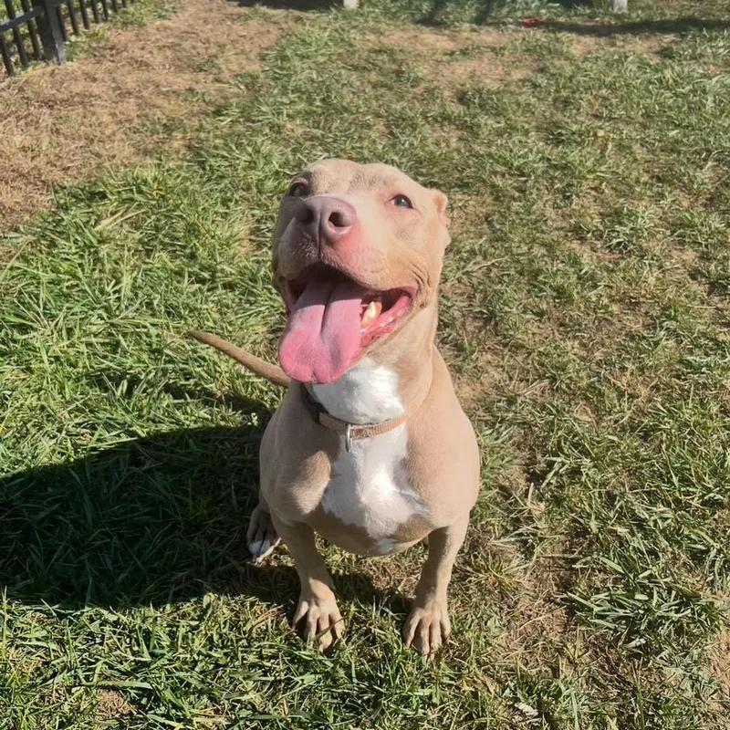 Tax Evasion thumbnail 3