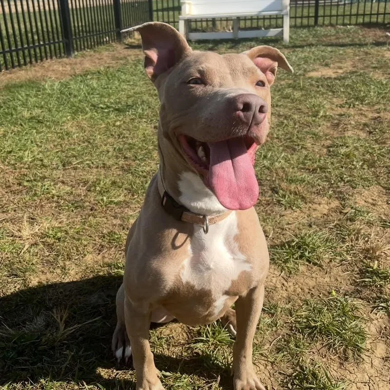 Tax Evasion thumbnail 4