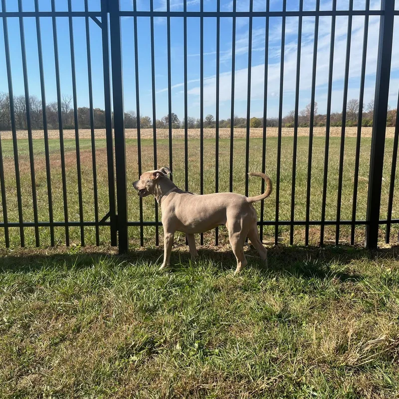 Tax Evasion thumbnail 5