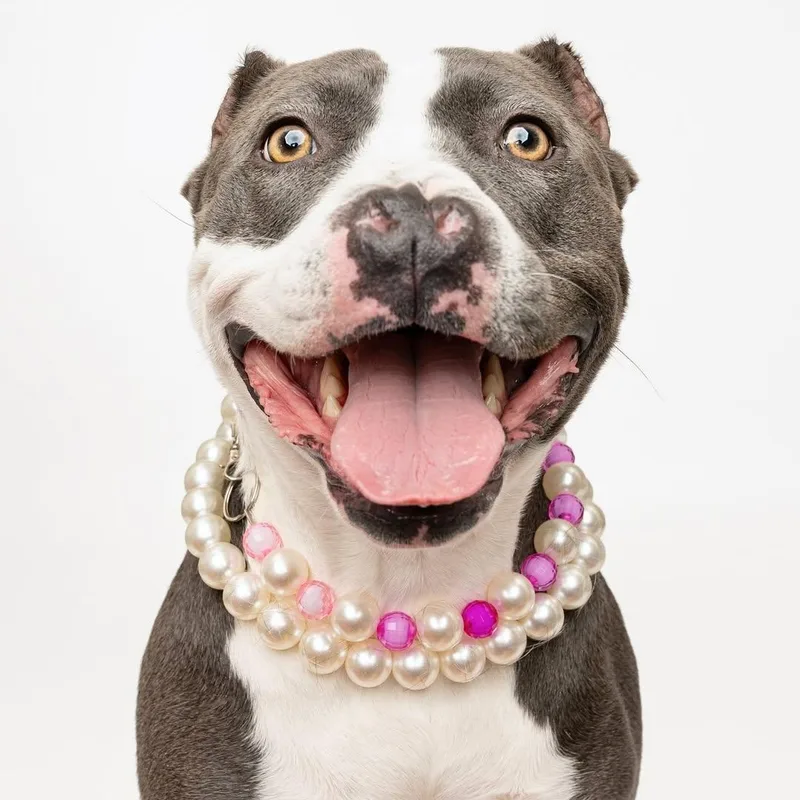 Aponi Special Needs thumbnail 2