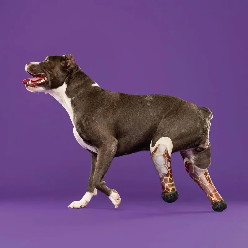 Aponi Special Needs thumbnail 3