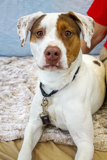 Dakota Fka Jordan thumbnail 2