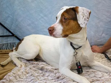 Dakota Fka Jordan thumbnail 3