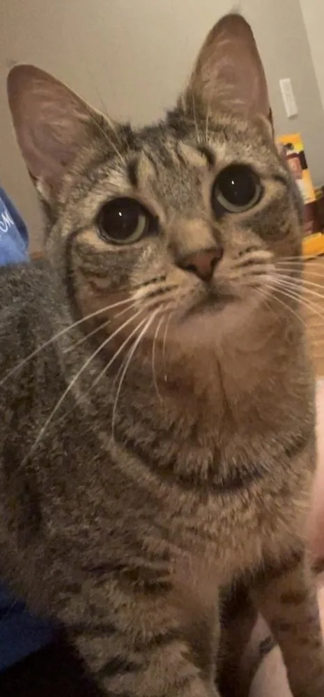 Humility Riverton thumbnail 2