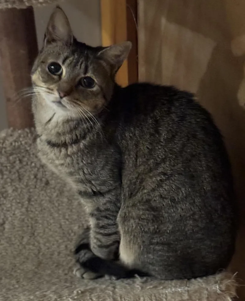 Humility Riverton thumbnail 3