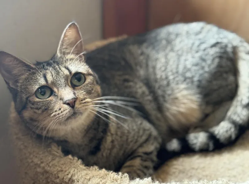 Humility Riverton thumbnail 5