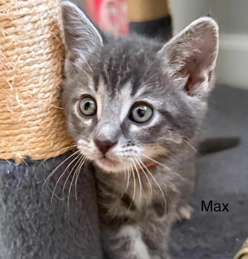 Max