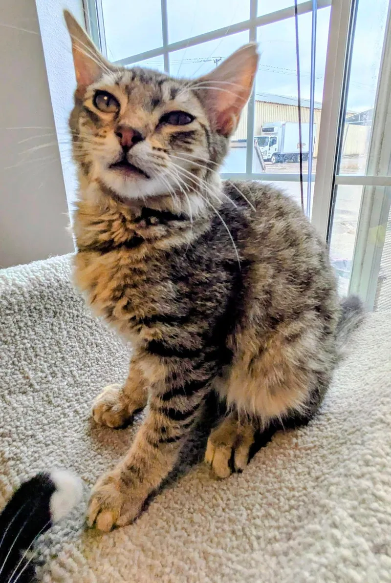 Vinnie