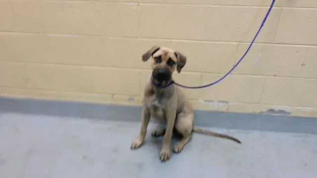 Matilda