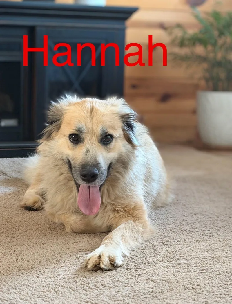 Hannah thumbnail 2
