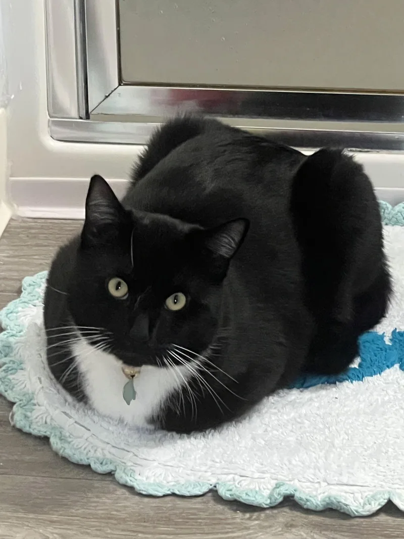 Earl   Offered thumbnail 2