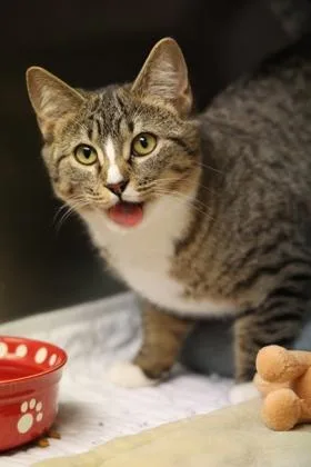 Christmas thumbnail 3