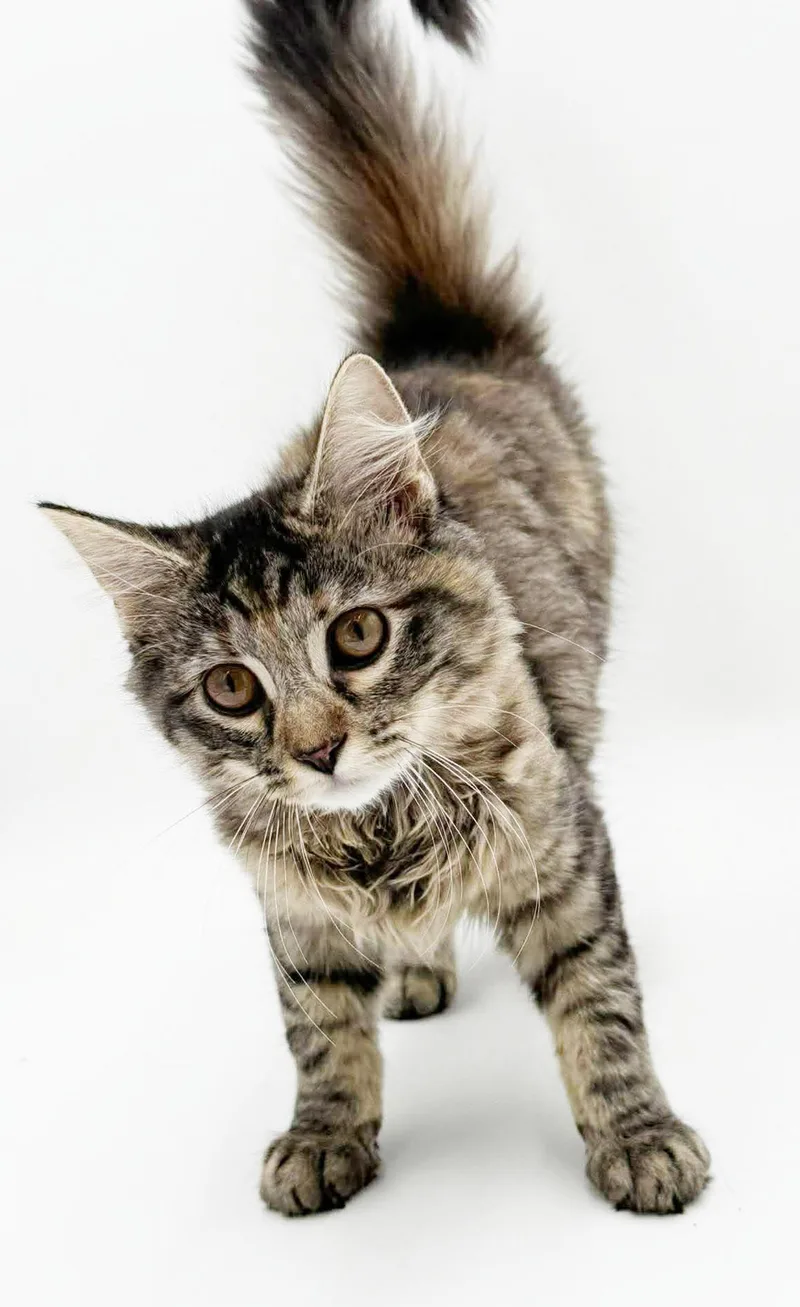 Luna is a LOVE thumbnail 2