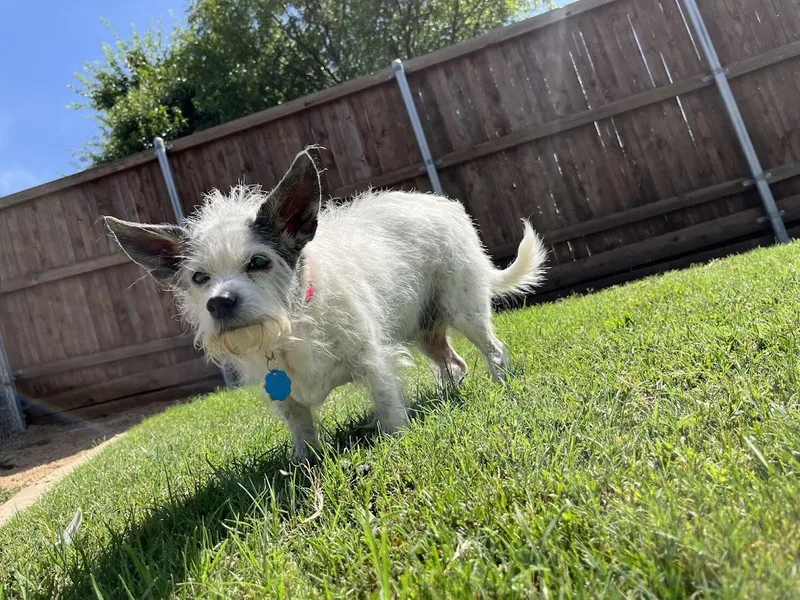 Little Bita thumbnail 3