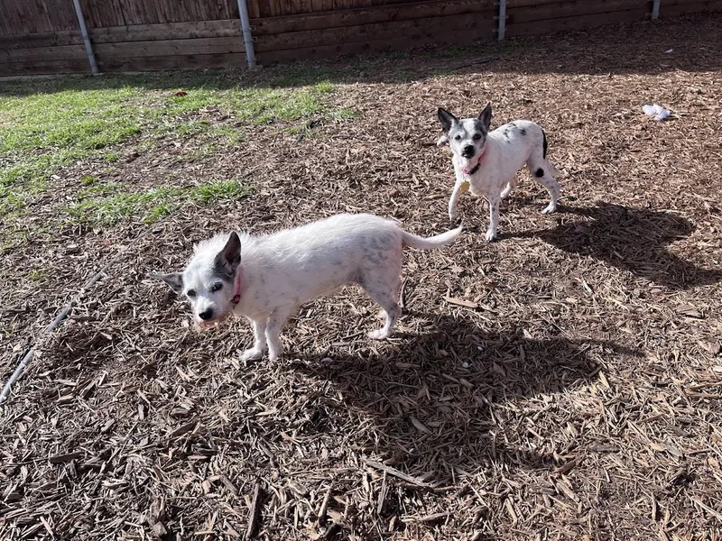 Little Bita thumbnail 5