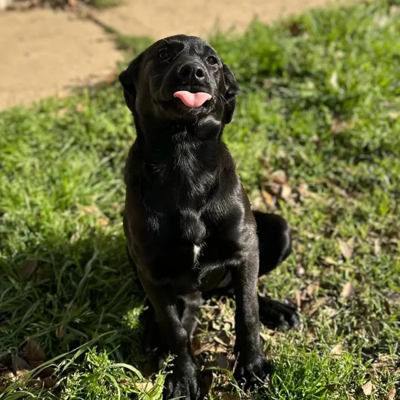 Xena Aka Rachel thumbnail 2