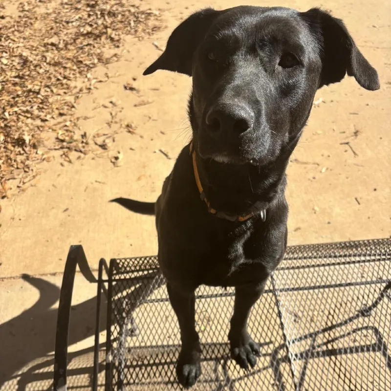 Xena Aka Rachel thumbnail 5