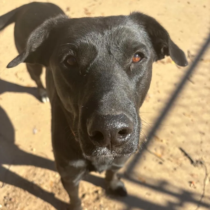 Xena Aka Rachel thumbnail 6