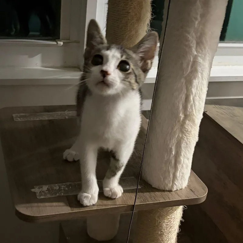Chloe thumbnail 2