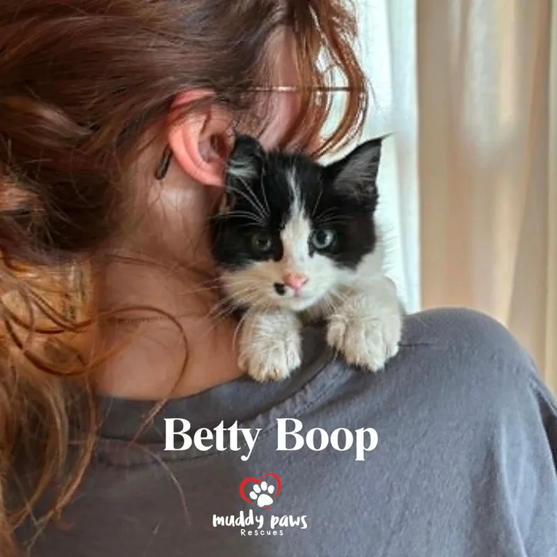 Betty Boop thumbnail 2