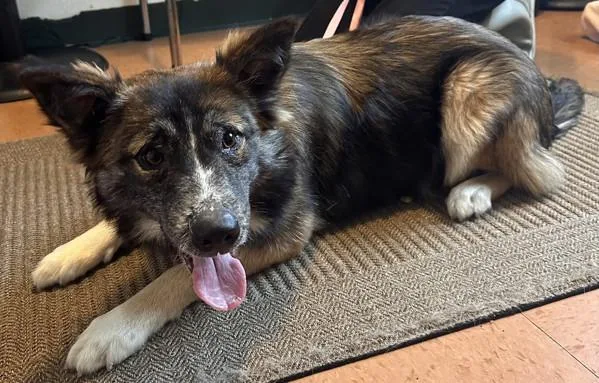 Rosita