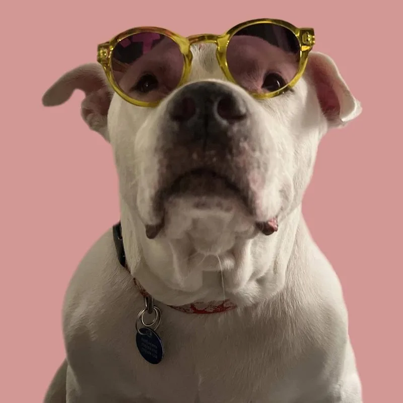 Big Papa thumbnail 3