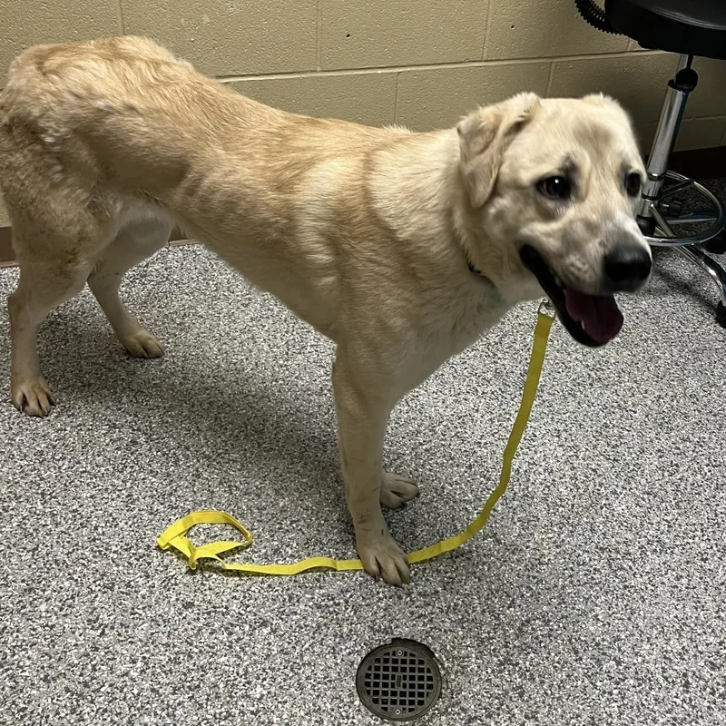 November thumbnail 4