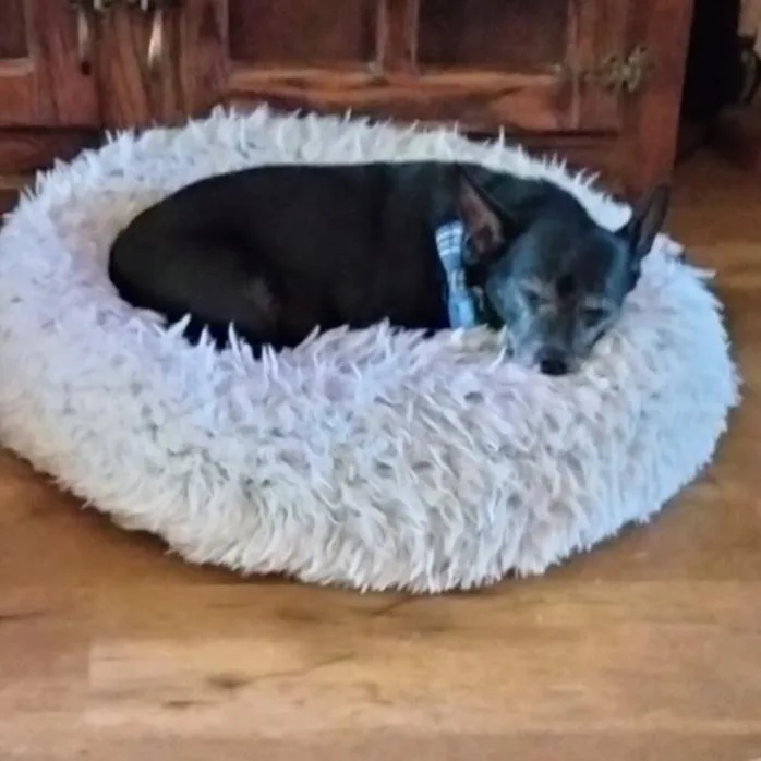 Marley Rocky thumbnail 3