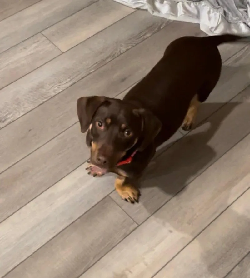 Chloe