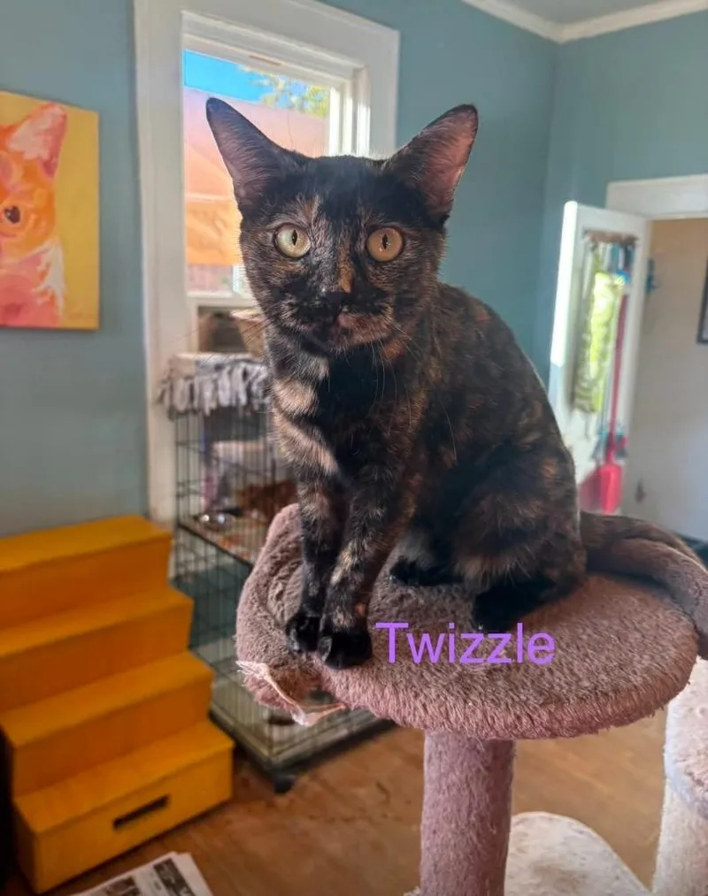Twizzle